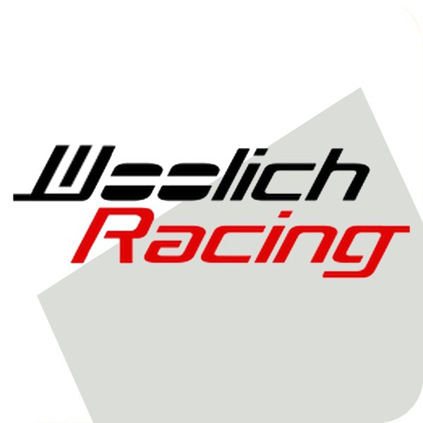 Woolich Racing OBD2-Tools & Eliminators